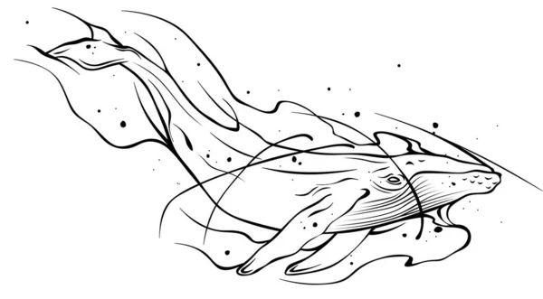 Wal Illustration Skizze Eines Wals Auf Weißem Hintergrund — Stockfoto