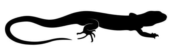 도마뱀 실루엣 라이자드는 이렇게 말합니다 도마뱀의 — 스톡 사진