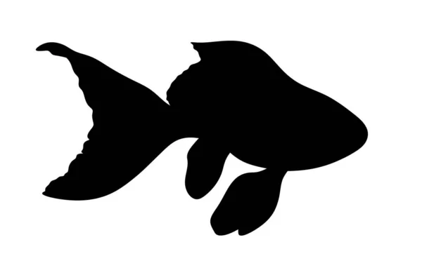 Silhouette Poisson Illustration Isolée Poisson Silhouette Poisson Rouge — Photo