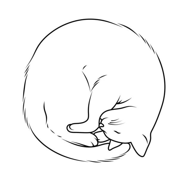 Katzenillustration Linienkunst Schlafende Katze — Stockfoto