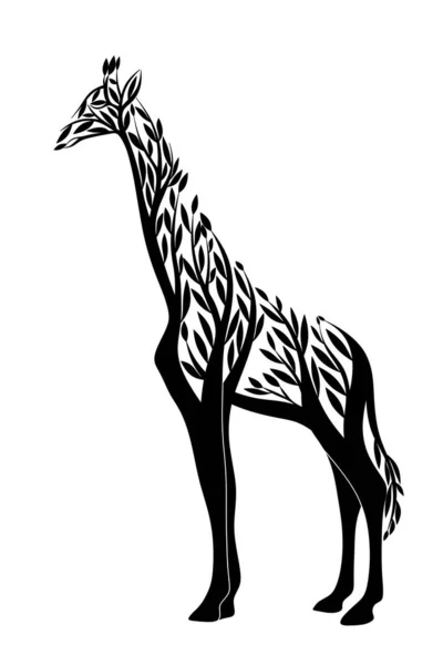 长颈鹿图解 长颈鹿的黑白插图 非洲动物长颈鹿 — 图库照片