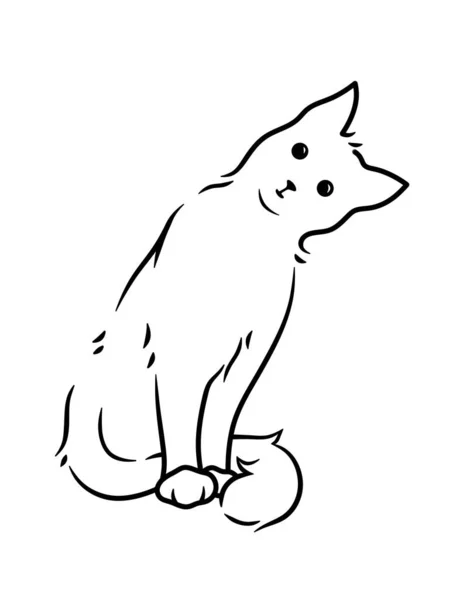 Gato Animal Estimação Ilustração Gato Fundo Branco — Fotografia de Stock