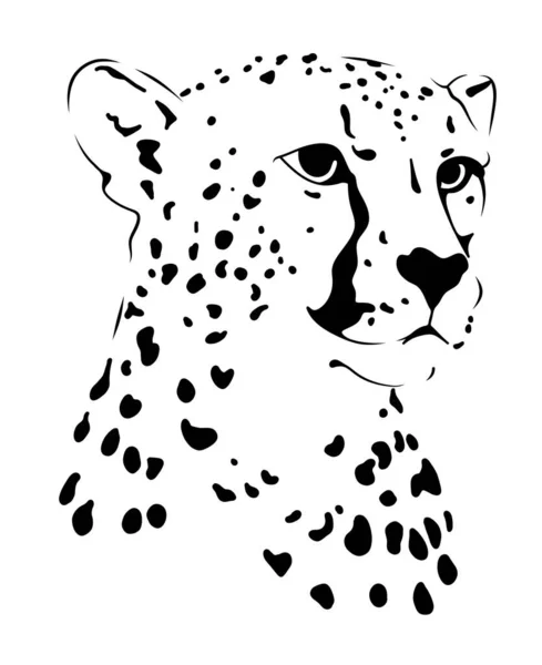 Cheetah Illustration Tête Guépard Logo Guépard — Photo