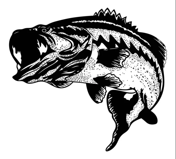 Fisk Öring Illustration Öring Vit Bakgrund — Stockfoto
