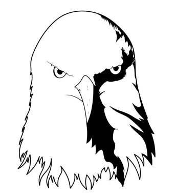 Kartal kafa. Kartal çizimi beyaz arka planda izole edildi. Kartal logosu.