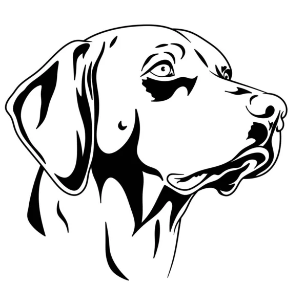 Köpek Beyaz Arka Planda Köpek Logosu — Stok fotoğraf