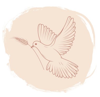 Güvercin. Barışın ve özgürlüğün sembolü. Kuş çizimi. Fırça darbesi.