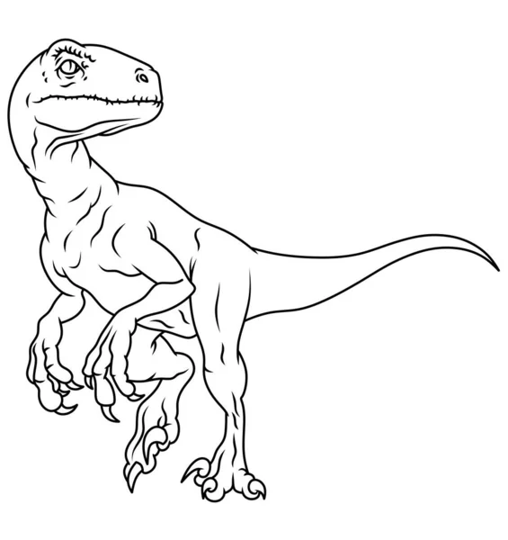 ヴェロキラプトル 白地に恐竜の線画 — ストック写真