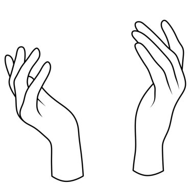 Kollar. Beyaz arka planda bir elin resmi. Çizgi sanatı elleri.