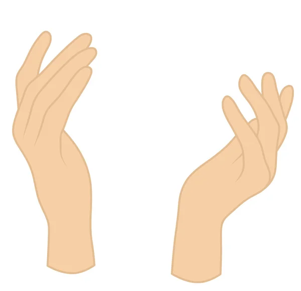 Menselijke Handen Een Witte Achtergrond Handen Met Vingers — Stockfoto
