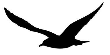 Martı silueti. Beyaz arka planda izole edilmiş bir kuş silueti..