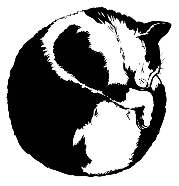 白い背景に寝ている猫の孤立したイラスト ペット — ストック写真
