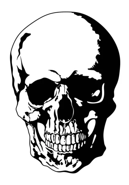 Scull Isolated Illustration Human Skull Bones Symbol Death — Photo