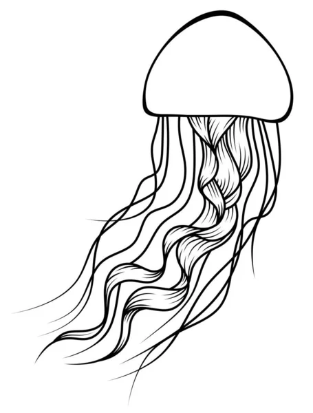 Jellyfish Isolated Illustration Jellyfish White Background Line Art Sea Animal — Fotografia de Stock