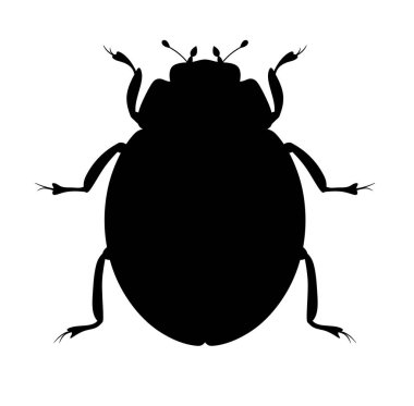 Böcek. Beyaz arka planda bir böceğin izole edilmiş silueti. Böcek logosu.