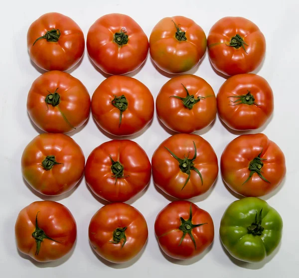 Delicious red tomatoes, summer farm farm tray. — Stock Photo, Image