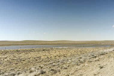 Kuru bozkırlar, otlaklar ve Arjantin Patagonya çölleri