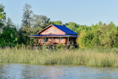 Arjantin 'in Buenos Aires şehrindeki Tigre Nehri.