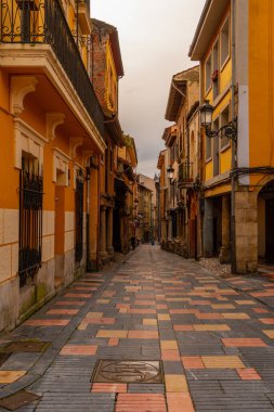 Asturias 'taki Muniellos doğal rezervi