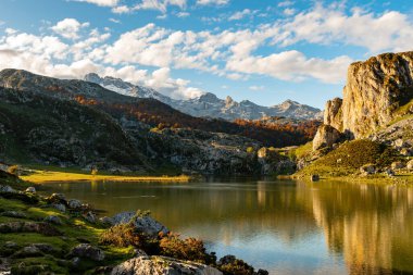 Asturias 'taki Muniellos doğal rezervi