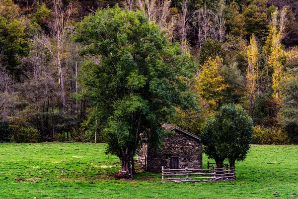 Muniellos kompleksowy rezerwat przyrody w Asturii — Zdjęcie stockowe
