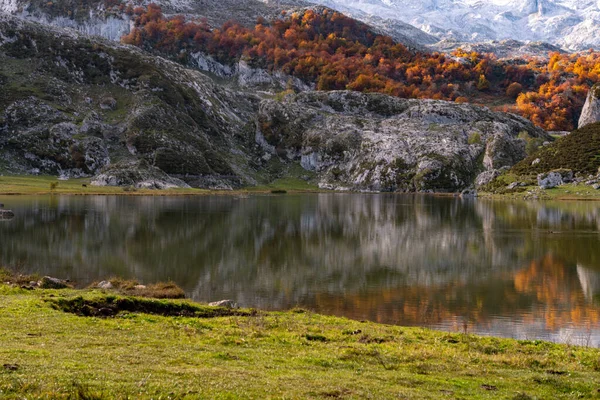 Muniellos comprehensive natural reserve in Asturias — Stock Photo, Image