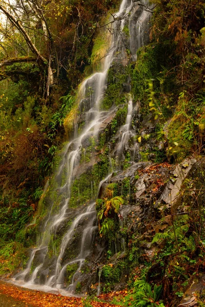 Muniellos umfassendes Naturschutzgebiet in Asturien — Stockfoto