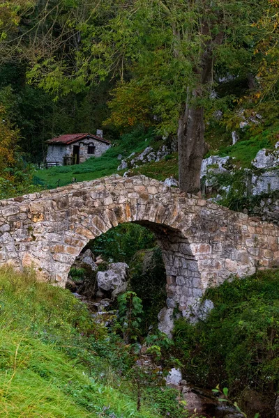 Középkori híd Poo de Cabrales-ben. — Stock Fotó