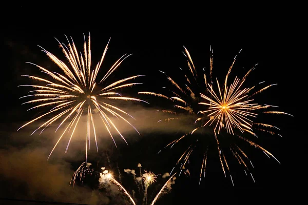 Fireworks burst in the night sky. — Stock Photo, Image