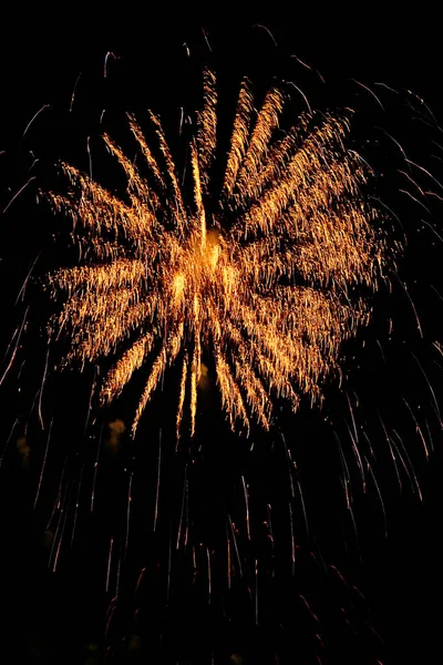 Aplikace Fireworks praskla na noční obloze. — Stock fotografie