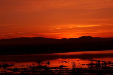 Bataklıkların manzarasında muhteşem bir gün batımı..
