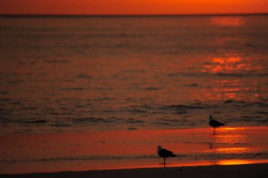 Sahilde muhteşem bir gün batımı..