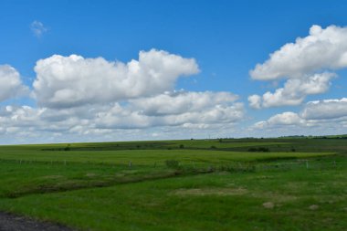 Tipik Uruguay ovaları manzarası
