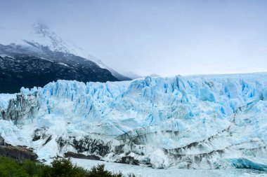 Perito Moreno Buzulu ve Arjantin Gölü