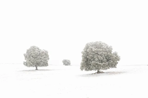 グラナダの内部の風景-アンダルシア-スペイン — ストック写真