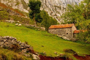 Asturias 'ın yüksek dağlarındaki kırsal alan.
