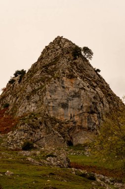 Asturias 'ın yüksek dağlarındaki kırsal alan.