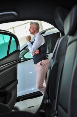 beyaz sakallı yakışıklı bir erkek portre resmini