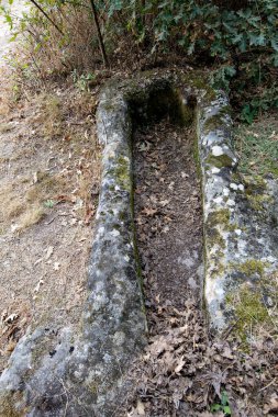 Cantabria 'nın iç kesimlerinde kırsal alanlar - İspanya