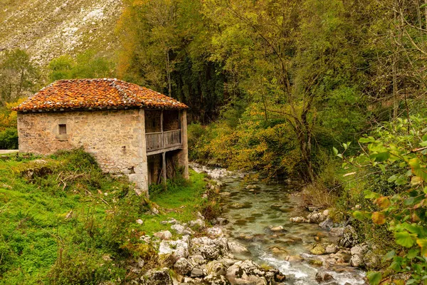 Paisajes rurales en el interior de Asturias — Foto de Stock
