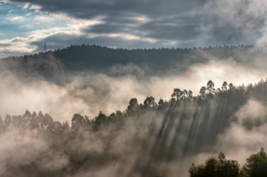 Aguera de Cantabria Vadisi 'ndeki sisler.