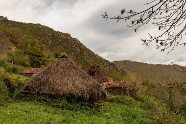 Çobanların kulübeleri Tuiza 'da, Picos de Europa' da, Asturias 'ta..
