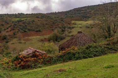 Çobanların kulübeleri Tuiza 'da, Picos de Europa' da, Asturias 'ta..
