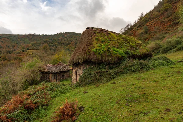 Çobanların kulübeleri Tuiza 'da, Picos de Europa' da, Asturias 'ta..