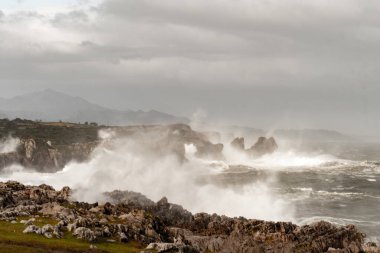 Asturian kıyısındaki Cabo de San Antonio 'lu soytarılar.