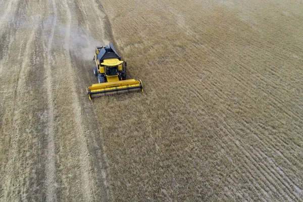 Havadaki toz samanıyla buğday toplayan hasat makinesinin fotoğrafı.. — Stok fotoğraf