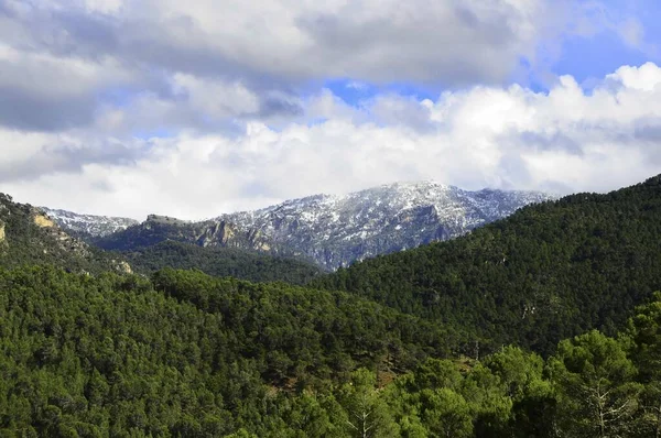 Parque Natural e Nacional da Andaluzia - Espanha. — Fotografia de Stock