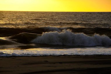 Endülüs Doğal ve Ulusal Parkı - İspanya.