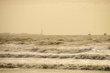 Endülüs Doğal ve Ulusal Parkı - İspanya.