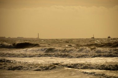 Endülüs Doğal ve Ulusal Parkı - İspanya.